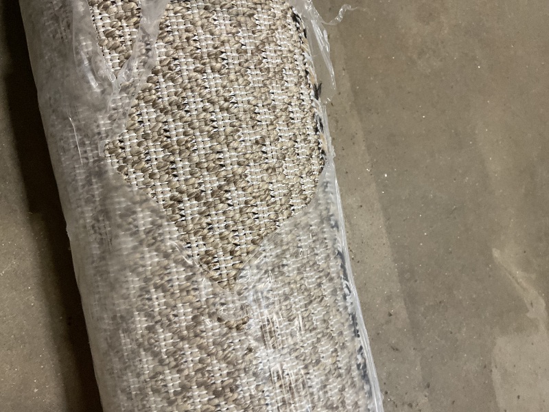 Photo 1 of **DIRT FROM TRANSPORT **Loloi Dawn Collection Indoor/Outdoor DAW-06 Russet 6'-4" x 9'-2" Area Rug