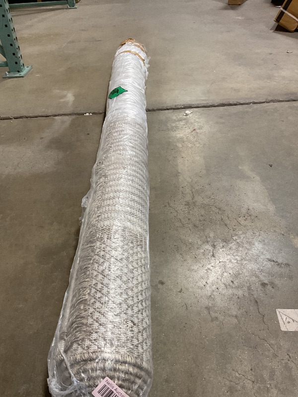 Photo 1 of **DIRT FROM TRANSPORT **Loloi Dawn Collection Indoor/Outdoor DAW-06 Russet 6'-4" x 9'-2" Area Rug