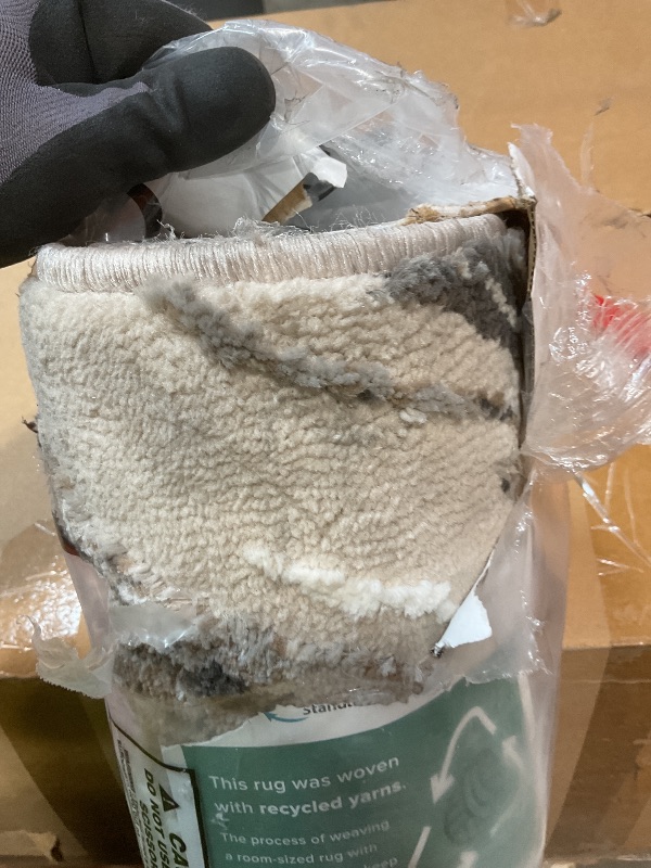 Photo 1 of **DIRT FROM TRANSPORT **Nourison Modern Marble Sustainable Woven Rug with Lines Beige