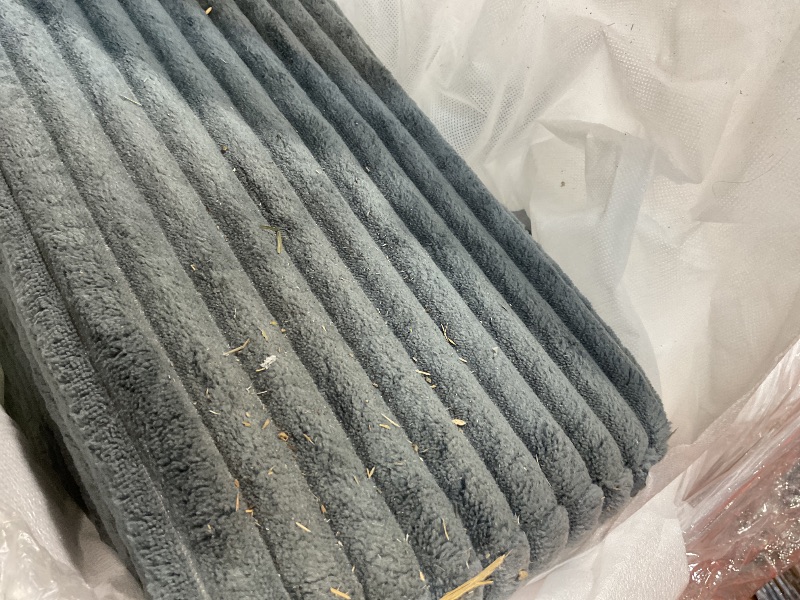 Photo 1 of **DIRT FROM TRANSPORT **NLDD Convertible Sofa Bed, Pull Out Boneless Couch Loveseat Floor Sofa Bed with Pillows, 2-Seater Folding Sofa Loveseat Boneless Couch for Living Room, Bedroom, Apartment, Office (Grey)