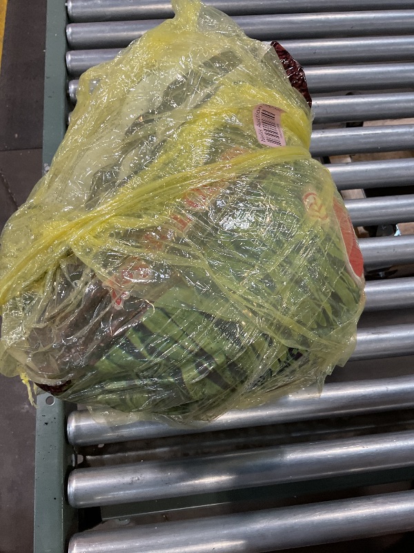 Photo 1 of **CORNER TORN**Michigan Peat General All Purpose Premium Potting Soil with Perlite for Indoor Outdoor Pots, Planters, Raised Bed, and Container Gardening, 50 Pounds