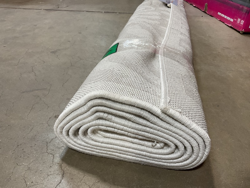 Photo 1 of **DIRTY FROM TRANSPORT **My Texas House by Orian Indoor/Outdoor Bluebonnets Area Rug, 7'9" x 10'10", Natural