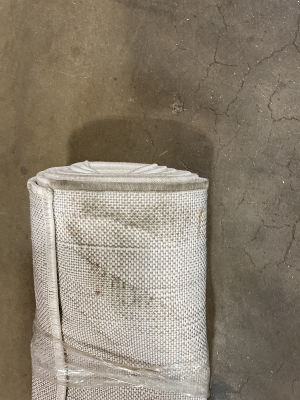 Photo 1 of **DIRTY FROM TRANSPORT **My Texas House by Orian Indoor/Outdoor Bluebonnets Area Rug, 7'9" x 10'10", Natural