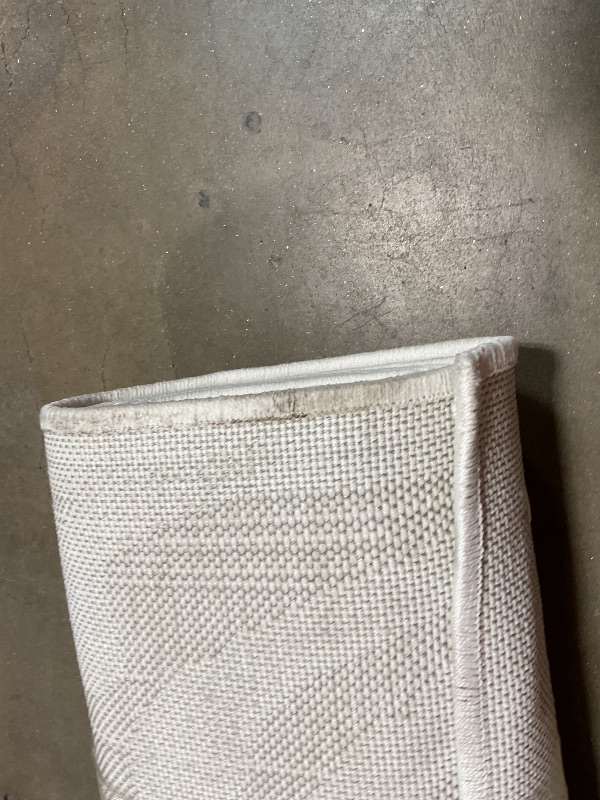 Photo 1 of **DIRTY FROM TRANSPORT **My Texas House by Orian Indoor/Outdoor Bluebonnets Area Rug, 7'9" x 10'10", Natural