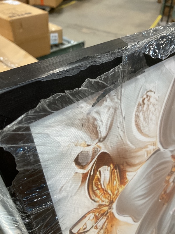 Photo 1 of **DAMAGE RO FRAME ON TWO CORNERS**Large Butterfly Framed Wall Art White and Gold Floral Canvas Wall Decor Texture Butterfly Pictures Print painting Artwork Modern Home Decorations for Living Room Bedroom Office 60 x 30 inch