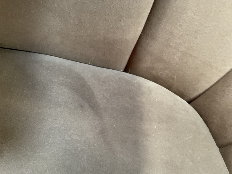 Photo 1 of **VERY MINIMAL DOG HAIR**Christopher Knight Home Monroe Velvet Swivel Club Chair, Armchair with 360-Degree Rotation, Upholstered Barrel Swivel Sofa Chair for Living Room, Tufted Back, Thick Cushion, Iron Base, Dark Brown