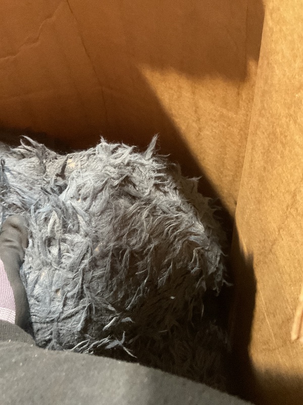 Photo 1 of **DIRT FROM TRANSPORT **HOMBYS Shaggy Area Rug 10x14 Feet, Ultra Fuzzy Large Plush Faux Fur Carpet for Living Room Bedroom, Non-Skid Fuzzy Rug for Kids Playroom Home Decor, Dark Grey