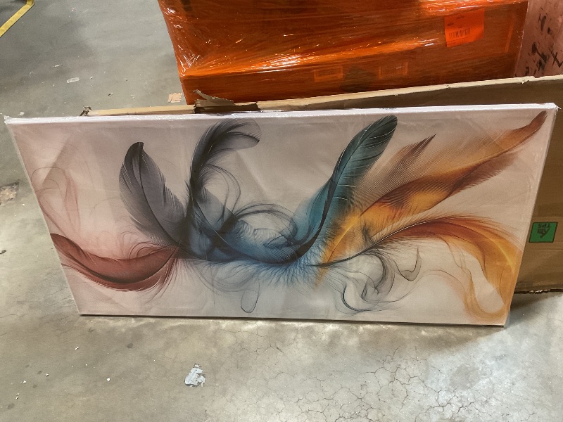 Photo 1 of **FRAME IS LOOSE**Large Canvas Wall Art for Living Room Bedroom Office Colorful Feather Picture Modern Framed Canvas Prints Size 29x59