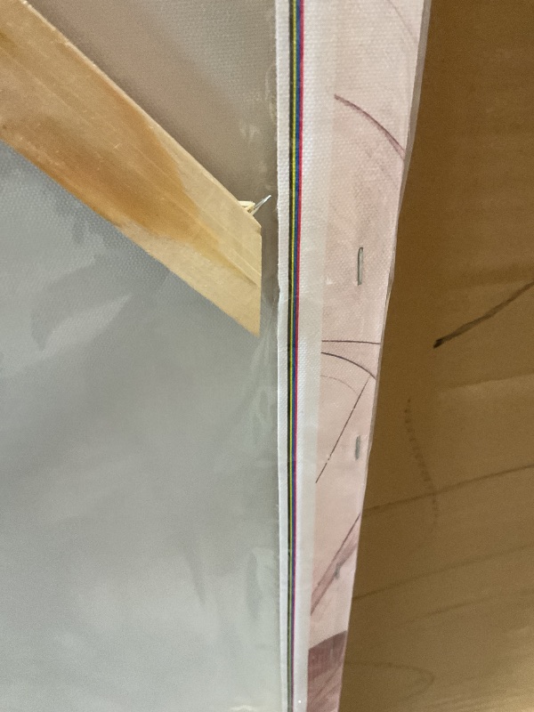 Photo 1 of **FRAME IS LOOSE**Large Canvas Wall Art for Living Room Bedroom Office Colorful Feather Picture Modern Framed Canvas Prints Size 29x59