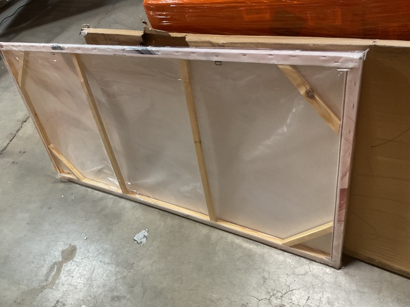 Photo 1 of **FRAME IS LOOSE**Large Canvas Wall Art for Living Room Bedroom Office Colorful Feather Picture Modern Framed Canvas Prints Size 29x59