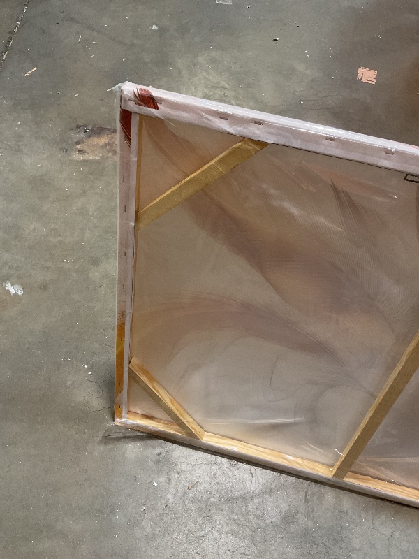 Photo 1 of **FRAME IS LOOSE**Large Canvas Wall Art for Living Room Bedroom Office Colorful Feather Picture Modern Framed Canvas Prints Size 29x59