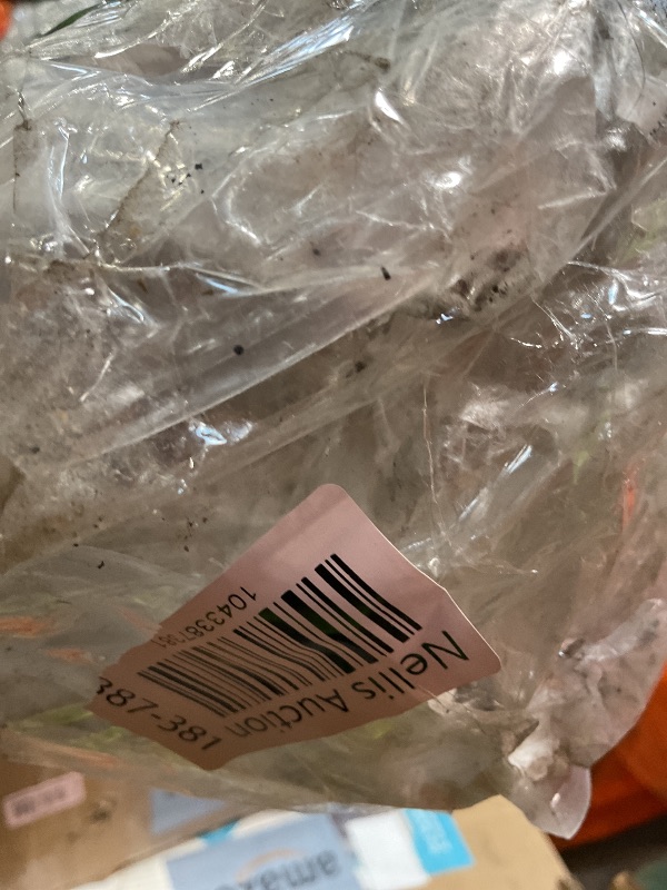 Photo 1 of **DIRT**JONATHAN Y Berber Stripe Indoor Outdoor Area Rug 6X9 Ivory/Black, Colonia for Backyard, Patio, Porch, Easy-Cleaning, High Traffic, Pet-Friendly, Non-Shedding (SMB125D-6)