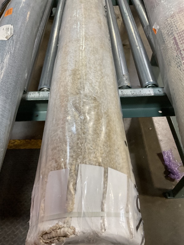 Photo 3 of Nourison Home Essentials 8' x 10' Fabric Ivory Gold Area Rug