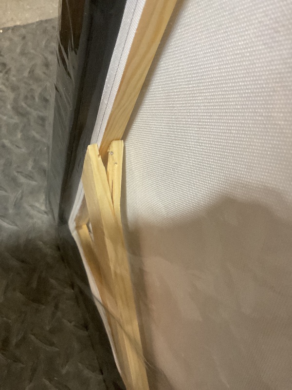 Photo 1 of **BEAM STARTING TO SPLIT **KLAKLA Canvas Wall Art - Forest Wall Decor Amazon Wall Art Landscape Blue Tree Picture Framed Artwork for Walls Living Room Bedroom Office - 48x24 Inches