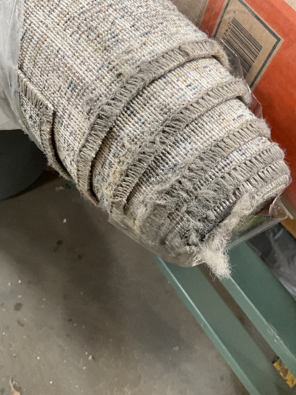 Photo 1 of **DIRTY FROM TRANSPORT. SOME DAMAGE ON END**Loloi Chris Loves Julia x Rosemarie Collection ROE-03 Sand/Lagoon 9'-0" x 12'-0" Area Rug