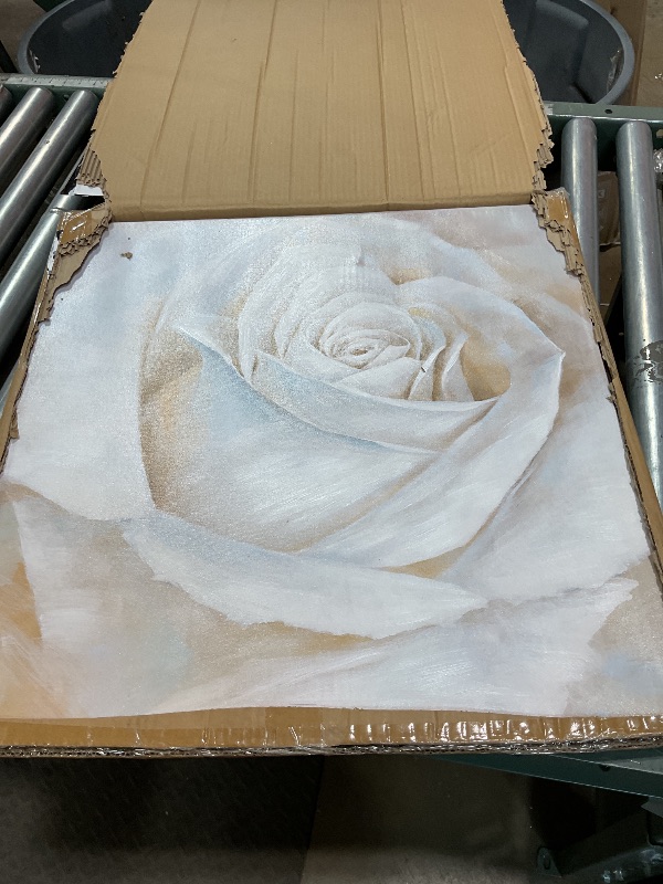 Photo 1 of **SLIT IN THE PICTURE ON 1 SIDE** Arts White Rose Canvas Painting with Textured - Perfect for Bathroom, Bedroom, and Living Room Wall Decor