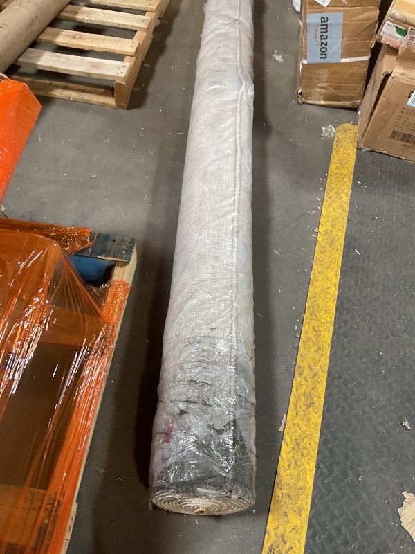 Photo 1 of **DIRTY FROM TRANSPORT*Rug. Size unknown.