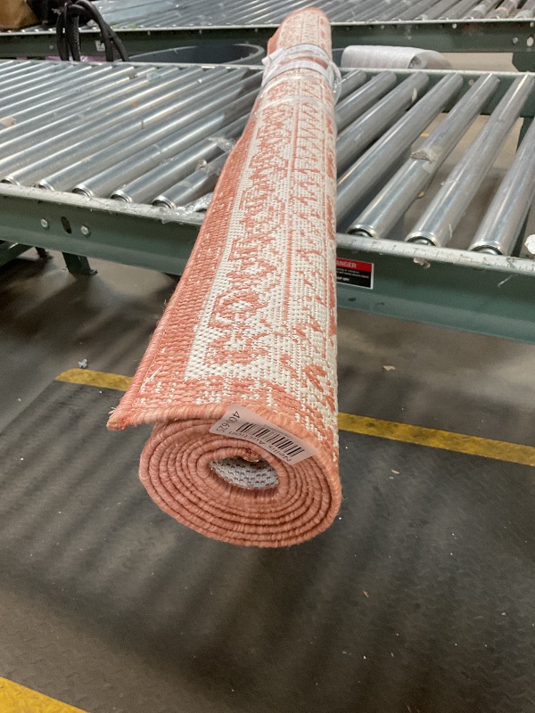 Photo 1 of **DIRTY FROM TRANSPORT **Nicole Miller Patio rug country style