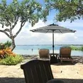 Photo 1 of Bibana 7.5 ft Outdoor Patio Umbrella Table Umbrella with 6 Ribs, Push Button Tilt/Crank - Black and White