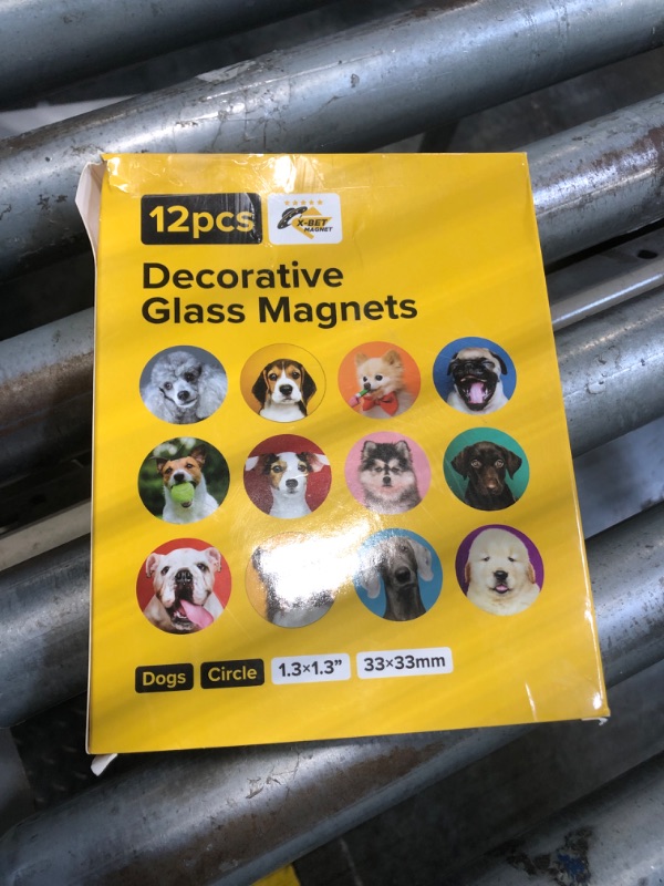 Photo 1 of ***SIX MISSING***
X-bet MAGNET Glass Refrigerator Magnets – Adorable Kitchen and Office Decor – Floral and Fun Whiteboard Magnets for Home and Locker