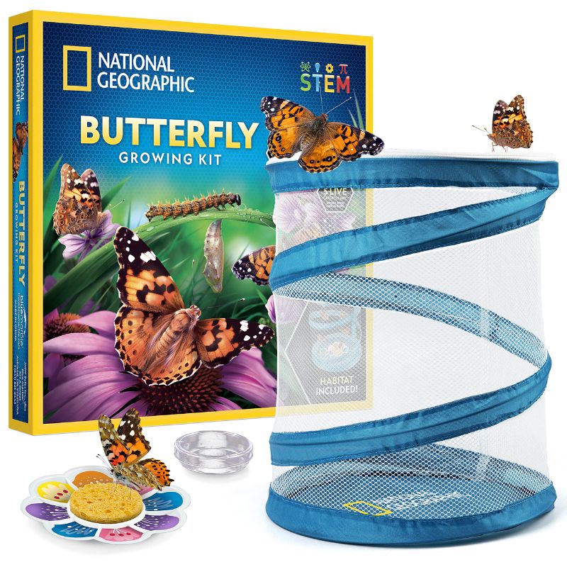 Photo 1 of NATIONAL GEOGRAPHIC Butterfly Growing Kit - Butterfly Habitat Kit with Voucher to Redeem 5 Caterpillars (S&H Not Included), Butterfly Cage, Feeder (Amazon Exclusive)