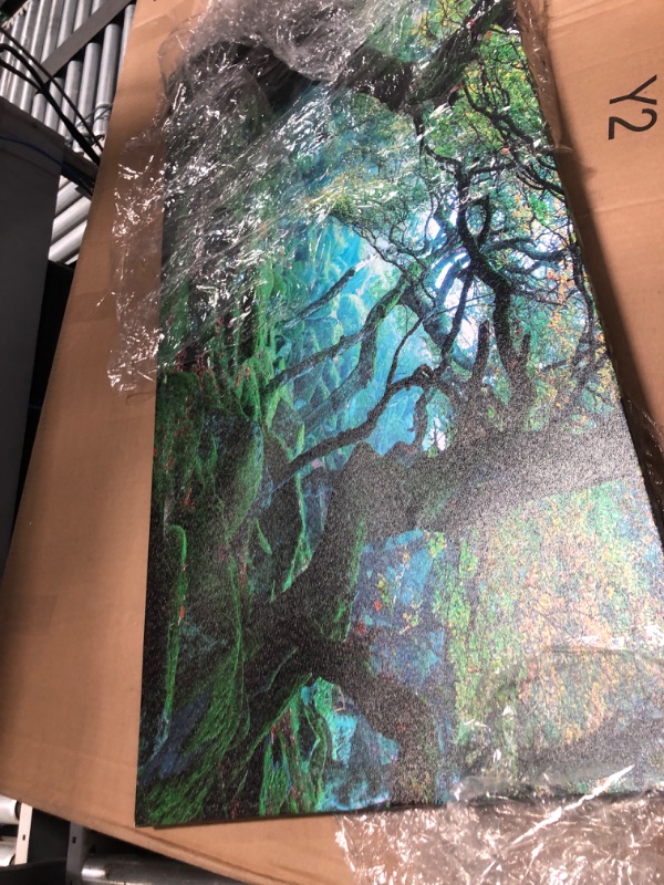 Photo 1 of Green Forest Canvas Wall Art Living Room Decoration Big Trees Nature Picture Large Modern Canvas Artwork Contemporary Woods Mossy Rock Spring Season Prints for Office Home Decoration 20" x 40"