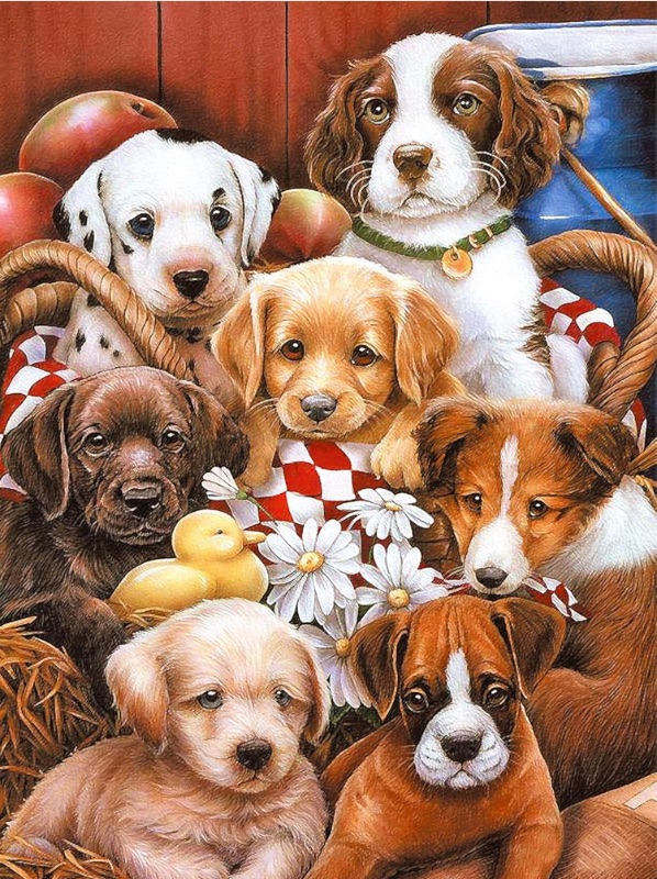 Photo 1 of 100 Piece Puzzles for Kids