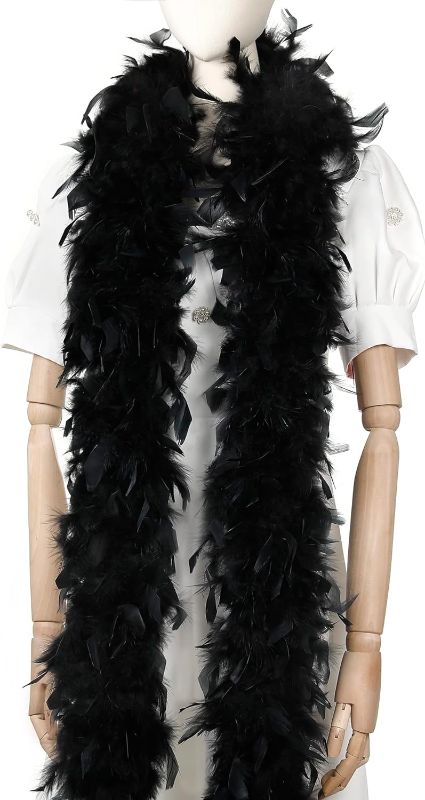 Photo 1 of 2 Yards Black Feather Boas