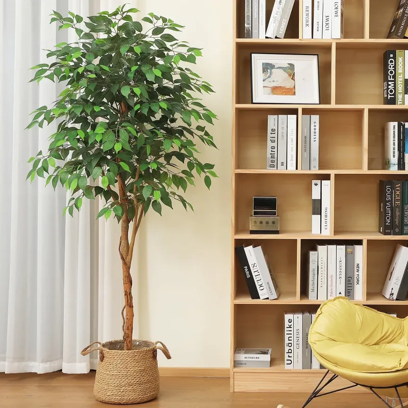 Photo 1 of *see notes*
DR.Planzen 6 feet Artificial Ficus Tree, Lifelike Greenery with Natural Wood Trunk for Living Room, office floor and corner decor, Tall Indoor Artificial Trees in Black Plastic Pot
