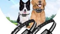 Photo 1 of Blingbling Petsfun GPS Wireless Dog Fence System for 2 Dog,VV04062025