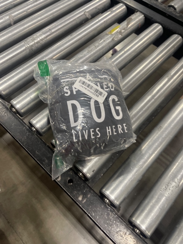 Photo 1 of Pavilion "A Spoiled Dog Lives Here" Canvas Door Stopper - Weighted Fabric Decorative Doorstop with Handle, Polyester Sand Bag Soft Door Stoppers for Interior Doors, Black Home Decor, 5 x 4.75 x 6"