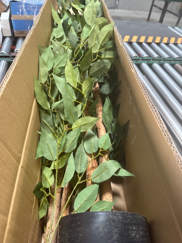 Photo 1 of 1Pack 6FT Artificial Ficus Tree with Realistic Leaves and Natural Trunk, Faux Ficus Tree with Sturdy Plastic Nursery Pot, Fake Ficus Tree for Office Home Farmhouse for Indoor Outdoor Decor
