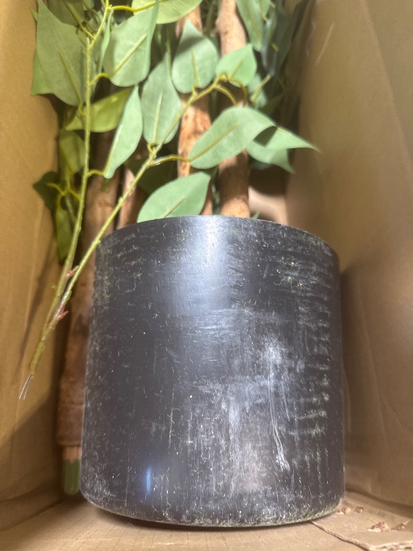 Photo 1 of 1Pack 6FT Artificial Ficus Tree with Realistic Leaves and Natural Trunk, Faux Ficus Tree with Sturdy Plastic Nursery Pot, Fake Ficus Tree for Office Home Farmhouse for Indoor Outdoor Decor
