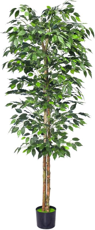 Photo 1 of 1Pack 6FT Artificial Ficus Tree with Realistic Leaves and Natural Trunk, Faux Ficus Tree with Sturdy Plastic Nursery Pot, Fake Ficus Tree for Office Home Farmhouse for Indoor Outdoor Decor
