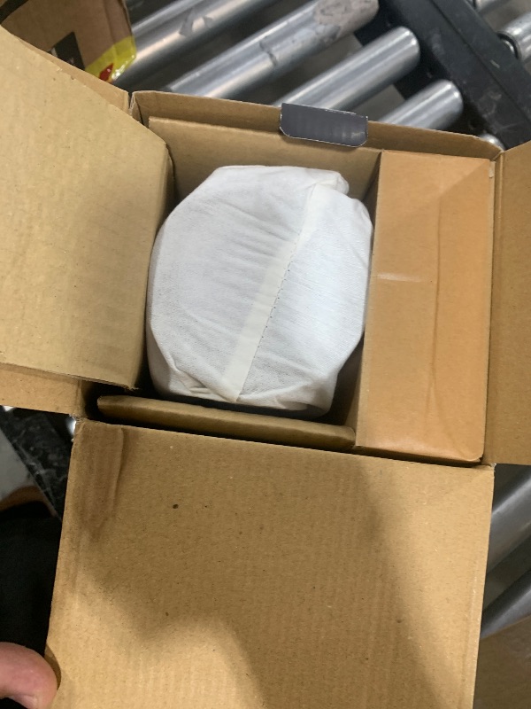 Photo 1 of Philips Hue Calla Outdoor Smart Pathway Light - White & Color Ambiance LED Walkway Lights - Low Voltage Lighting - 1 Pack - Requires Bridge and Power Supply - Control with App and Voice - Weatherproof