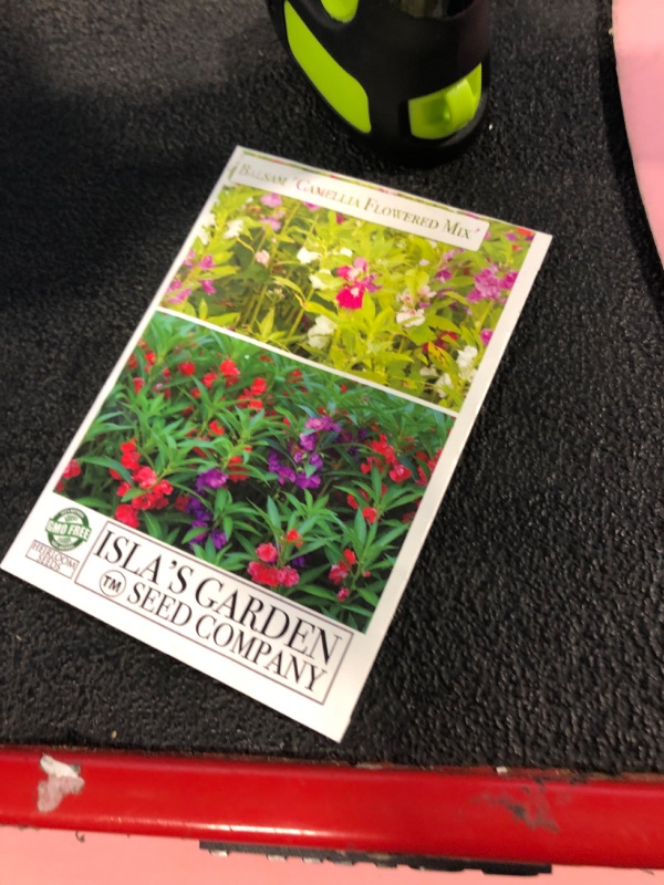 Photo 1 of 'Camellia Flowered Mix' Balsam Flower Seeds for Planting, 100+ Seeds Per Packet, (Isla's Garden Seeds), Non GMO & Heirloom Seeds, Scientific Name: Impatiens balsamina, Great Home Garden Gift