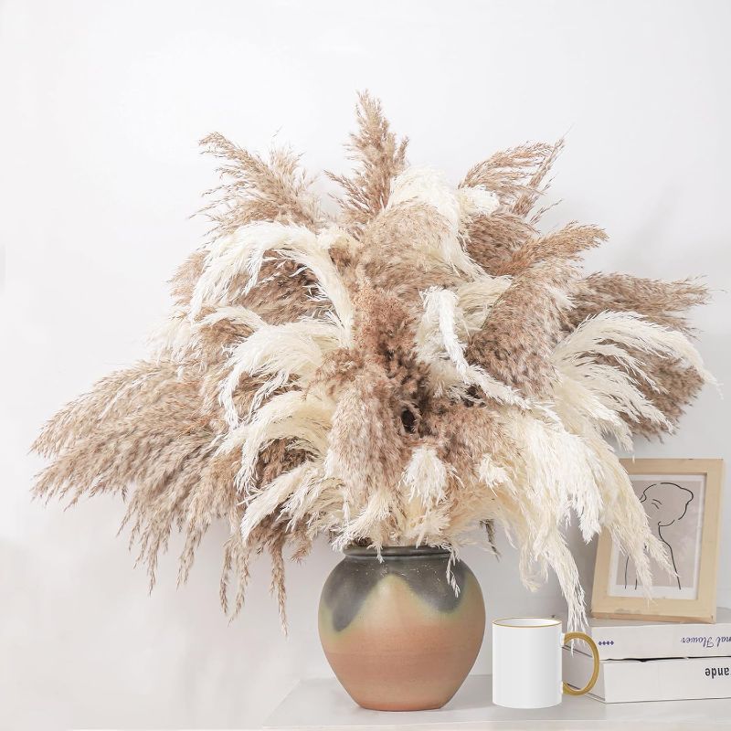 Photo 1 of (see all images) fluffy pampas grass