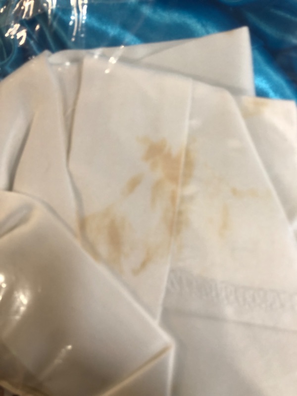 Photo 1 of *** some staining on the front***Belle Costume, Official Disney Beauty and the Beast Costume Outfit With Bow, Adult Size Large (12-14)