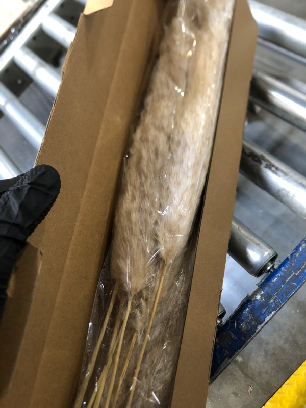 Photo 1 of 12 Stems Boho Decor Home Decor - Dried Pampas Grass, Dry Short Flowers Small Pampas Bulk for Home Decor, Home Decor, Wedding Decor, Gift(17.7 inch, Female)