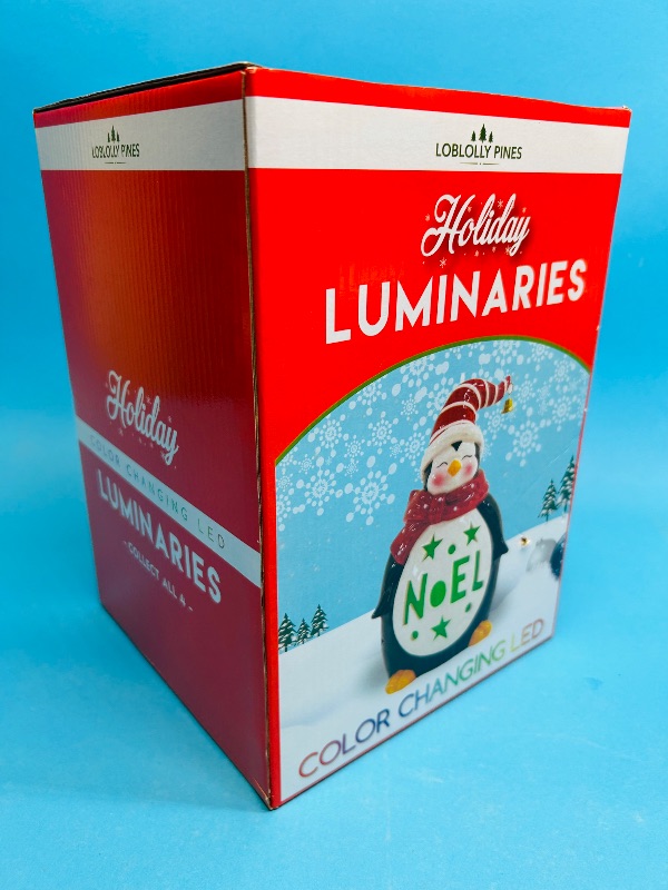 Photo 1 of 195069…holiday luminaries 10” color changing LED ceramic 
