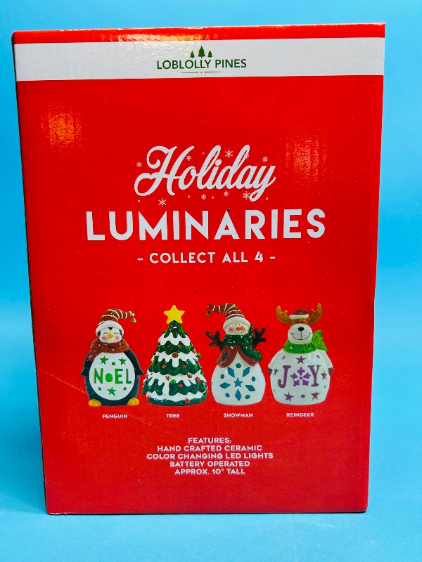 Photo 1 of 195069…holiday luminaries 10” color changing LED ceramic 