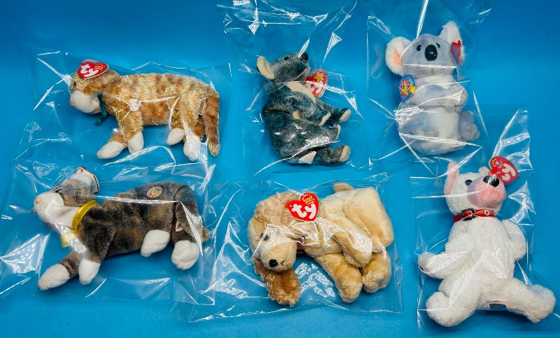 Photo 1 of 195357… 6 TY beanie babies in plastic bags 