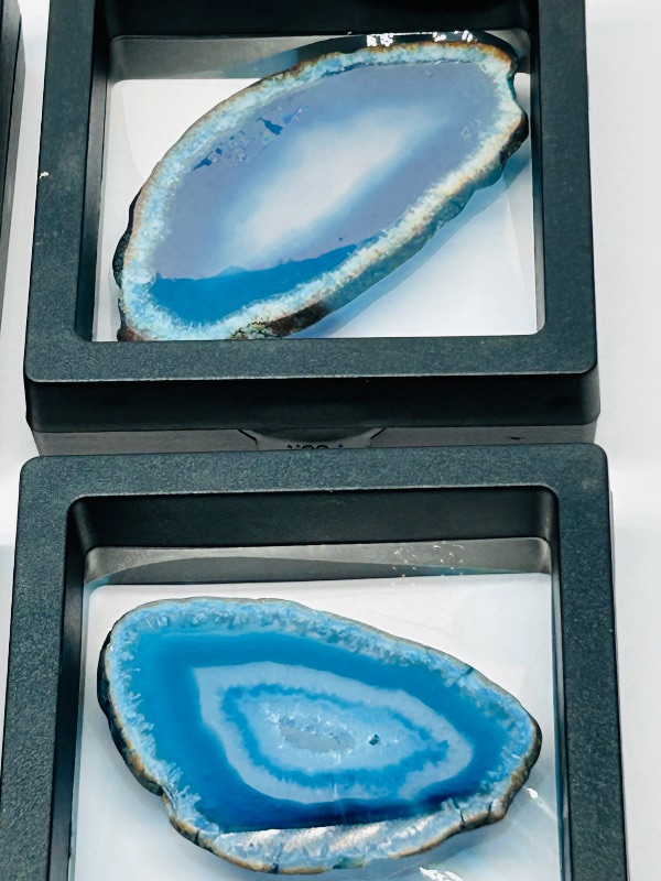Photo 1 of 195869…4 small agate slices in 2.5” displays