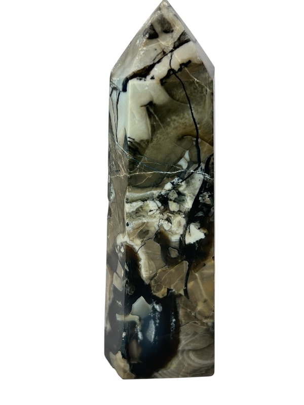 Photo 1 of 196055…5”  septarian pillar 