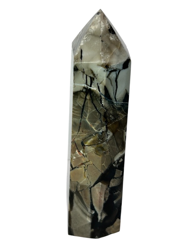 Photo 1 of 196055…5”  septarian pillar 