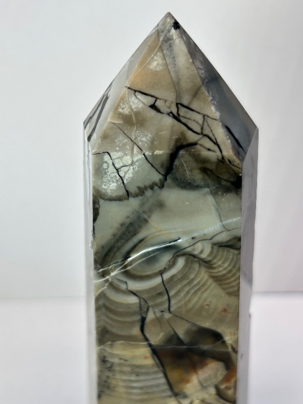 Photo 1 of 196055…5”  septarian pillar 