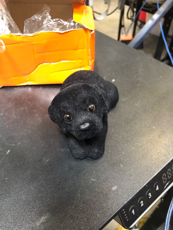 Photo 1 of Wakauto Bobblehead Dolls Shaking Head Dog Desktop Ornament Gift for Home Shop Car 