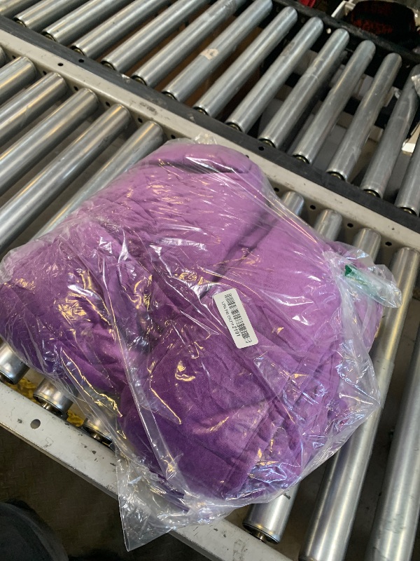 Photo 1 of Wemore Minky Dot Weighted Blanket for Adults Queen Size 12 lbs, Soft Cozy Heavy Blanket for Bed and Couch, Breathable Blanket for All-Season with Glass Beads, Purple 60 x 80 inches