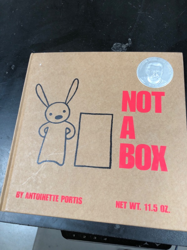 Photo 1 of Not A Box by Antoinette Portis