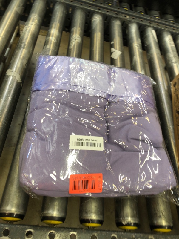 Photo 1 of Thermee Micro Flannel Shavel King-Size All Seasons Lightweight Sheet Blanket, Machine Wash & Dry, No Pilling, 90Lx108W, Lilac